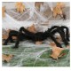Araña negra 70cm
