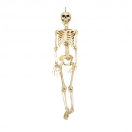Esqueleto 90cm
