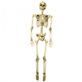 Esqueleto gigante de lujo