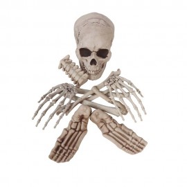 Bolsa con calaveras y huesos