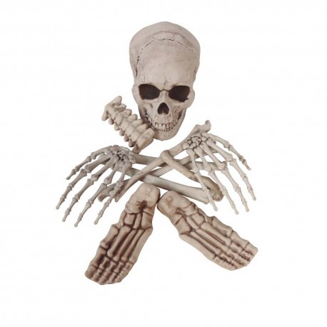 Bolsa con calaveras y huesos