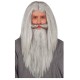 Peluca y barba de mago gris